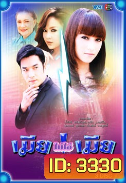 เมียไม่ใช่เมีย