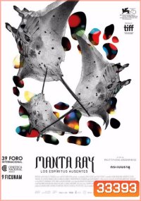 กระเบนราหู Manta Ray