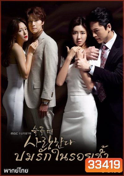Love in Sadness ปมรักในรอยช้ำ ( EP.1-20 END )