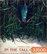 In The Tall Grass (2019) พงหลอนมรณะ {}