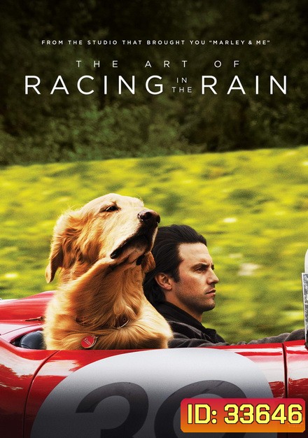 The Art of Racing in the Rain (2019) อุ่นไอหัวใจตูบ