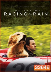 The Art of Racing in the Rain (2019) อุ่นไอหัวใจตูบ