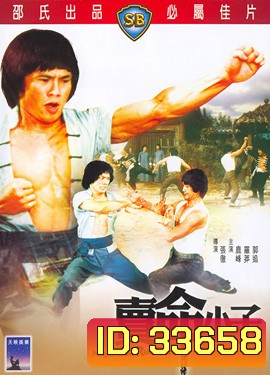 The Magnificent Ruffians 1979 ( Shaw Brothers )