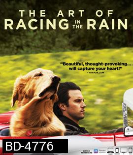 The Art of Racing in the Rain (2019) อุ่นไอหัวใจตูบ