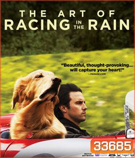 The Art of Racing in the Rain (2019) อุ่นไอหัวใจตูบ
