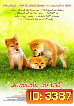 A Tale of Mari and Three Puppies เพื่อนซื่อ... ชื่อมาริ