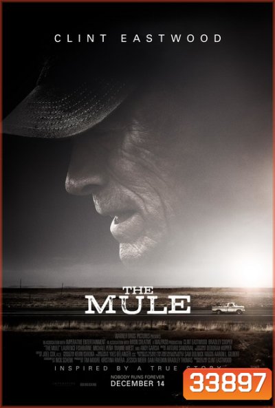 The Mule (2018) เดอะ มิวล์