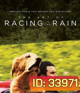The Art of Racing in the Rain (2019) อุ่นไอหัวใจตูบ