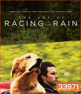 The Art of Racing in the Rain (2019) อุ่นไอหัวใจตูบ