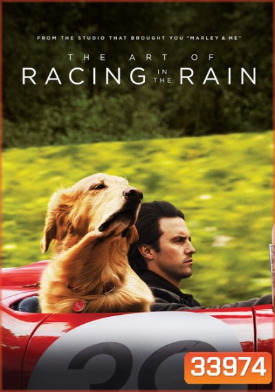 The Art of Racing in the Rain (2019) อุ่นไอหัวใจตูบ
