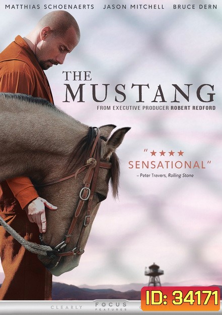 The Mustang (2019)