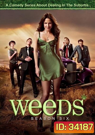 Weeds Season 6 : หม่ายชุลมุน ปี 6