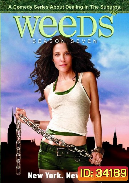 Weeds Season 7 : หม่ายชุลมุน ปี 7