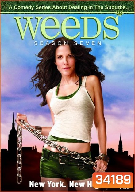 Weeds Season 7 : หม่ายชุลมุน ปี 7