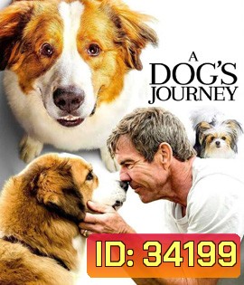 A Dog's Journey (2019) หมา เป้าหมาย และเด็กชายของผม 2