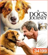 A Dog's Journey (2019) หมา เป้าหมาย และเด็กชายของผม 2