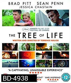 The Tree of Life (2011) ต้นไม้แห่งชีวิต
