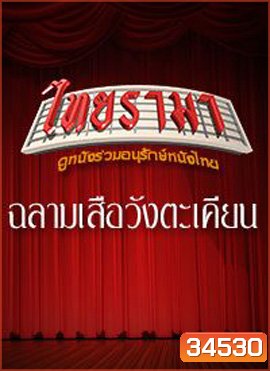 ฉลามเสือ วังตะเคียน