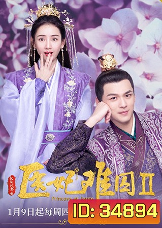 Princess at Large 2 พระชายาลอยนวล 2