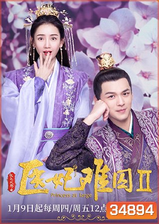 Princess at Large 2 พระชายาลอยนวล 2