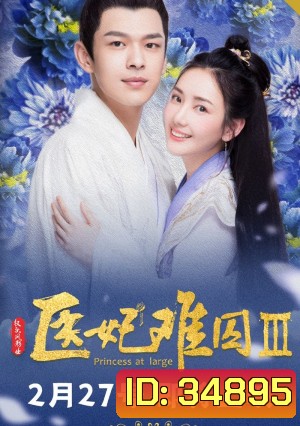 Princess at Large 3 พระชายาลอยนวล 3