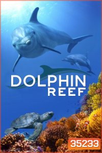 Dolphin Reef Disney อัศจรรย์ชีวิตของโลมา (2020)