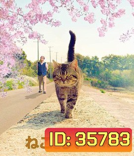 The Island of Cats (2019) แมวเหมียวกับคุณลุง