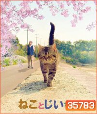 The Island of Cats (2019) แมวเหมียวกับคุณลุง