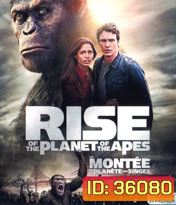 4K - Rise of the Planet of the Apes (2011) กำเนิดพิภพวานร - แผ่นหนัง 4K UHD