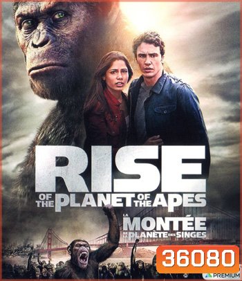 4K - Rise of the Planet of the Apes (2011) กำเนิดพิภพวานร - แผ่นหนัง 4K UHD