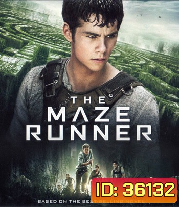 4K - Maze Runner (2014) วงกตมฤตยู - แผ่นหนัง 4K UHD