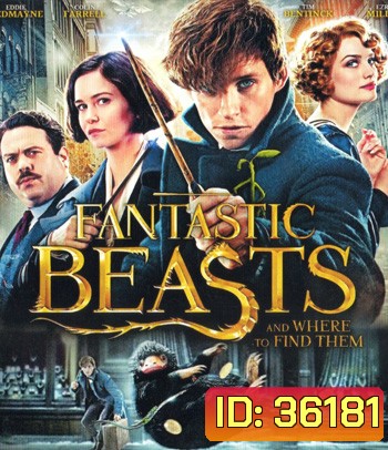 4K - Fantastic Beasts and Where to Find Them (2016) สัตว์มหัศจรรย์และถิ่นที่อยู่ - แผ่นหนัง 4K UHD