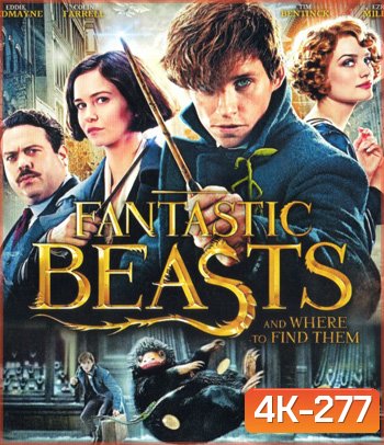 4K - Fantastic Beasts and Where to Find Them (2016) สัตว์มหัศจรรย์และถิ่นที่อยู่ - แผ่นหนัง 4K UHD