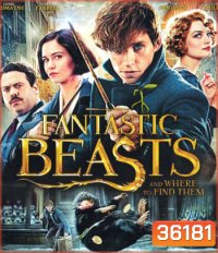 4K - Fantastic Beasts and Where to Find Them (2016) สัตว์มหัศจรรย์และถิ่นที่อยู่ - แผ่นหนัง 4K UHD