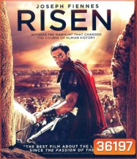 4K - Risen (2016) กำเนิดใหม่แห่งศรัทธา - แผ่นหนัง 4K UHD