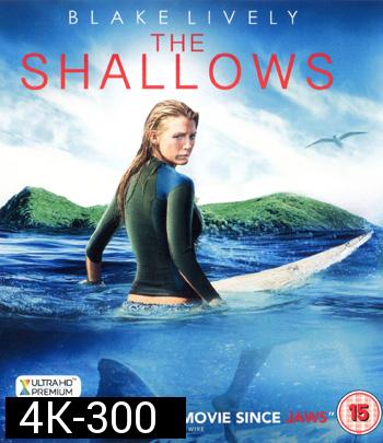 4K - The Shallows (2016) นรกน้ำตื้น - แผ่นหนัง 4K UHD