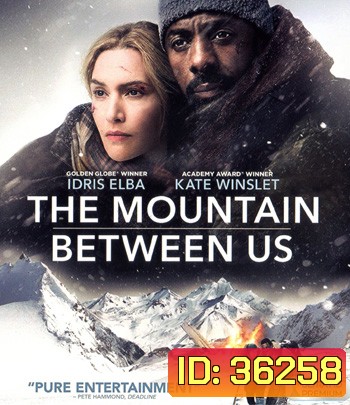 4K - The Mountain Between Us (2017) สองเราในความทรงจำ - แผ่นหนัง 4K UHD
