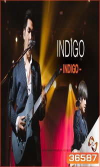 Songtopia Livehouse By AIS PLAY Present FRIENDEVER Colorpitch และ Indigo