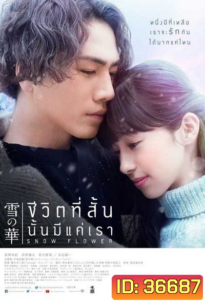 Snow Flower ชีวิตที่สั้นนั้นมีแค่เรา
