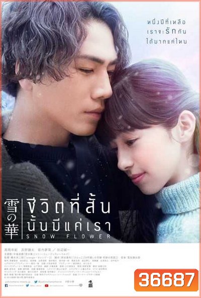 Snow Flower ชีวิตที่สั้นนั้นมีแค่เรา