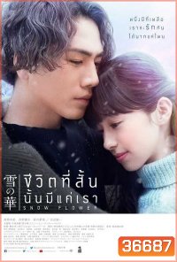 Snow Flower ชีวิตที่สั้นนั้นมีแค่เรา