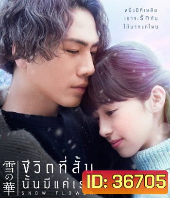 Snow Flower (2019) ชีวิตที่สั้น นั้นมีแค่เรา