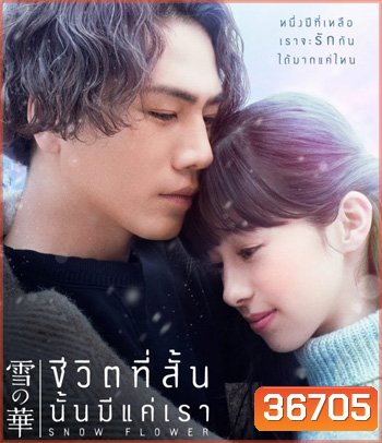 Snow Flower (2019) ชีวิตที่สั้น นั้นมีแค่เรา