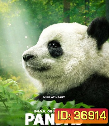 Pandas (2018)