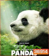 Pandas (2018)