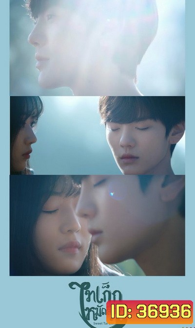Sweet Tai chi (2019) ไทเก็กหมัดสื่อรัก (1-24 จบ)