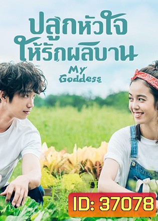 My Goddess (2018) ปลูกหัวใจให้รักผลิบาน
