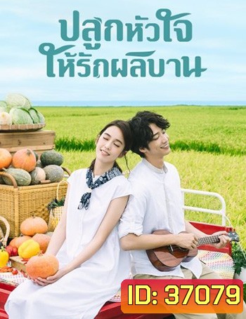 My Goddess (2018) ปลูกหัวใจให้รักผลิบาน (24 ตอนจบ)