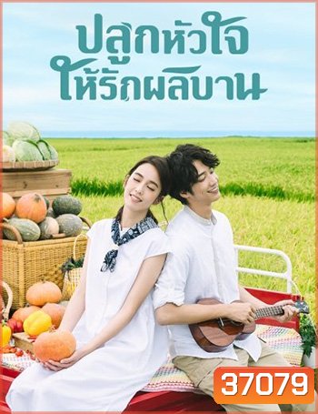 My Goddess (2018) ปลูกหัวใจให้รักผลิบาน (24 ตอนจบ)