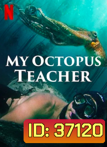 My Octopus Teacher (2020) บทเรียนจากปลาหมึก